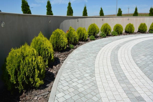 Best Driveway Pavers Near Me  in Valley Falls, SC